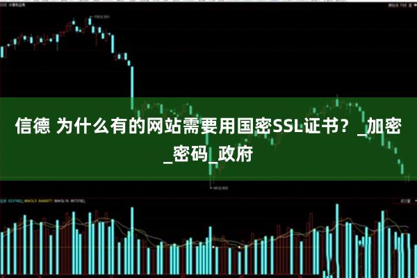 信德 为什么有的网站需要用国密SSL证书？_加密_密码_政府