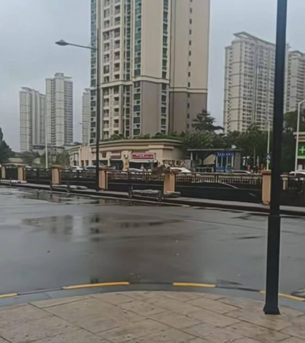 乾鑫配资 台风天广东中山一只小鹿闯进居民区，警方：系人工养殖，已安全送还