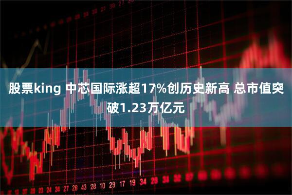 股票king 中芯国际涨超17%创历史新高 总市值突破1.23万亿元